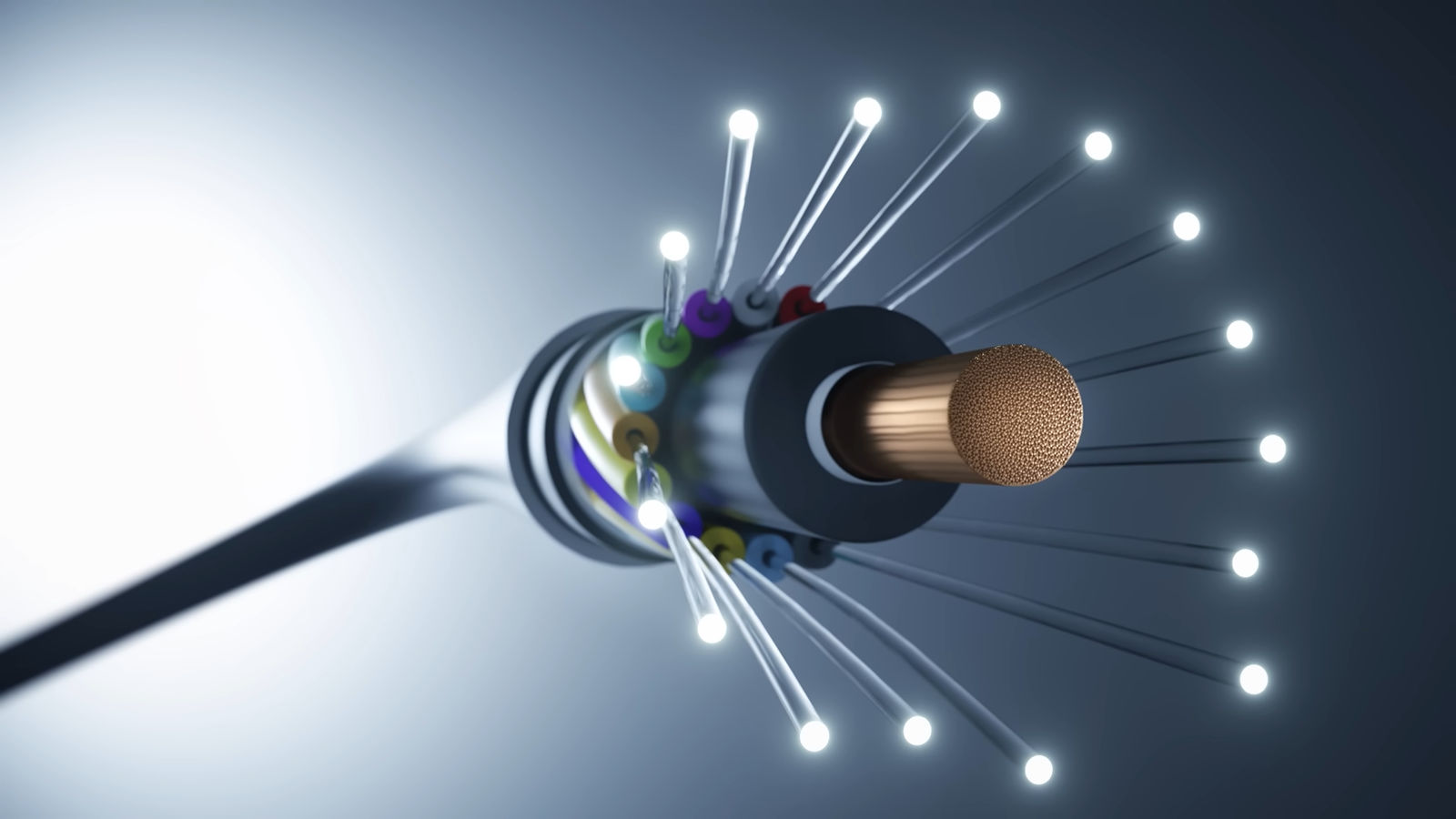 Fiber optic network